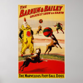 Das wunderbare Poster der Foot Ball Hunde