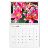 "DAS WUNKEL DER BLUME" 12 MONAT KALENDER 2026 (Mär 2027)