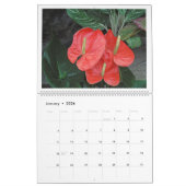 "DAS WUNKEL DER BLUME" 12 MONAT KALENDER 2026 (Jan 2026)