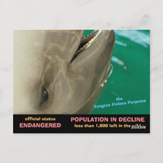 Das Yangtse-Feinstporpois ist gefährdet, siehe Postkarte