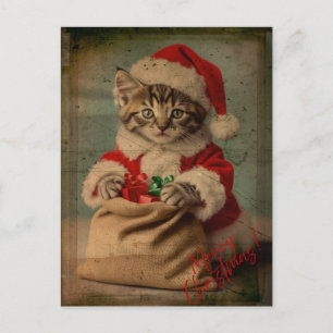 Das 'Yuletide Yawn' Dashing Kitten Weihnachten Postkarte