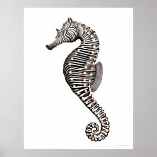Das Zebra Seepferd Art Poster