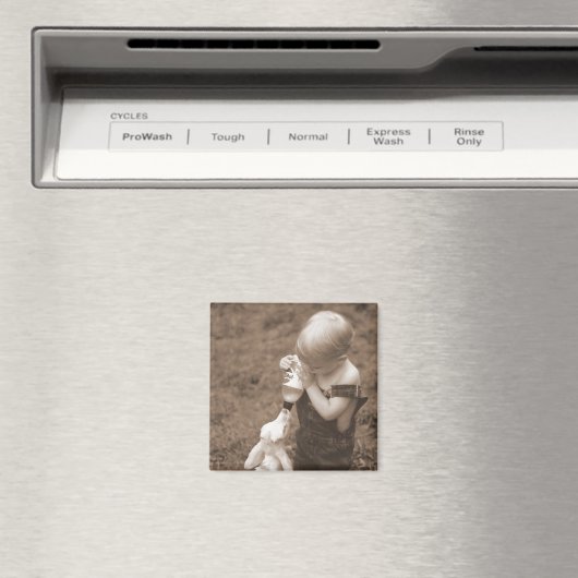 Das Ziegenmagnet fütternd Magnet (In Situ (Geschirrspüler))