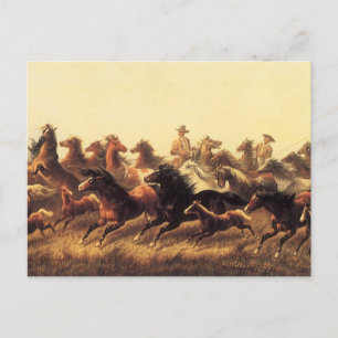 Das Zureiten wilder Pferde von James Walker Postkarte