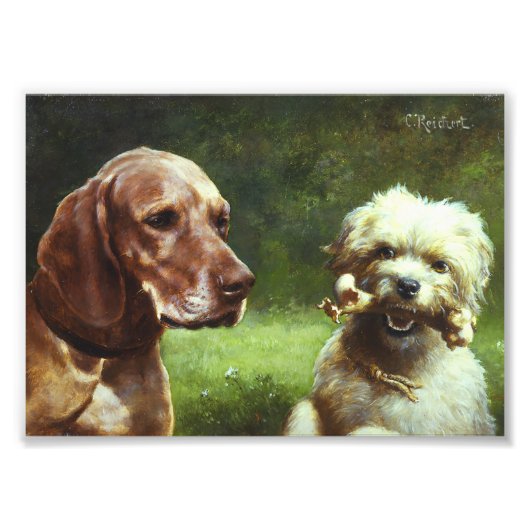 Das zynische und das philosophische Foto (Vorne)