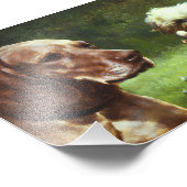 Das zynische und das philosophische Foto (Ecke)