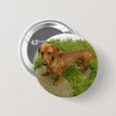 Daschund Button (Vorne & Hinten)