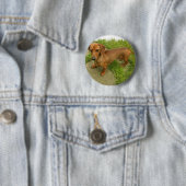 Daschund Button (Beispiel)