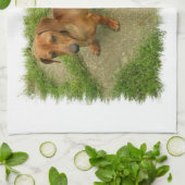 Daschund Geschirrtuch (Gefaltet)