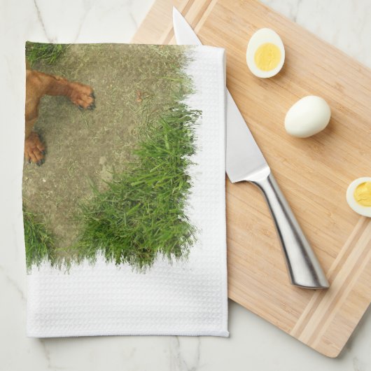 Daschund Geschirrtuch (Viertel Falte)