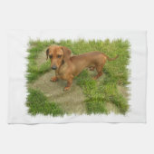 Daschund Geschirrtuch (Horizontal)