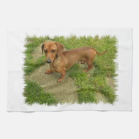 Daschund Geschirrtuch (Horizontal)