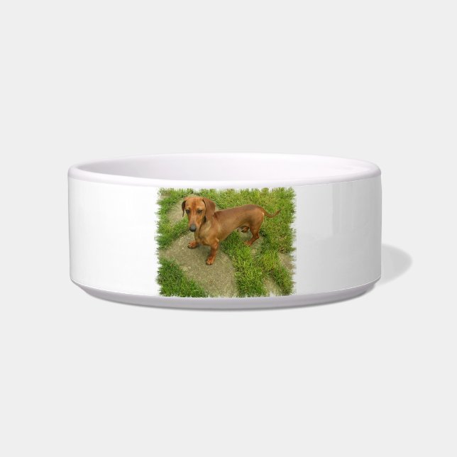 Daschund Haustier-Schüssel Napf (Vorderseite)