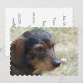 Daschund-Hund Einladung (Vorne/Hinten)