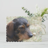 Daschund-Hund Einladung (Stehend Vorderseite)