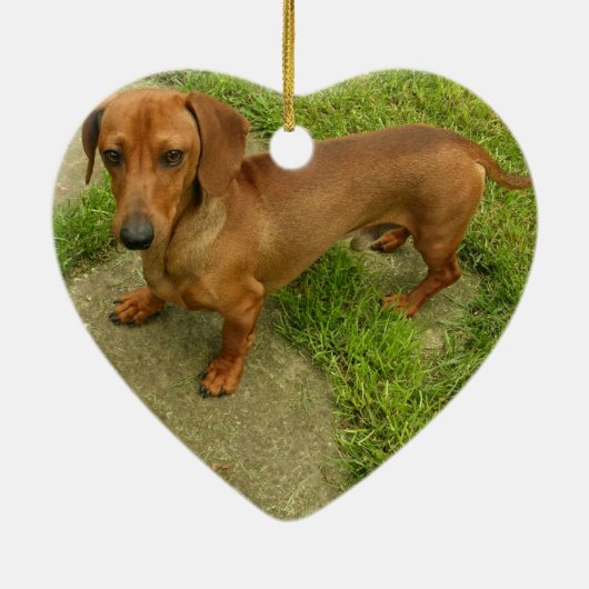 Daschund Hundeverzierung Keramik Ornament (Hinten)