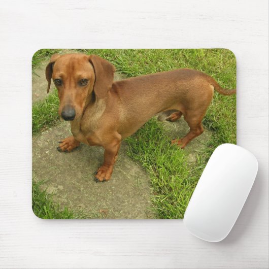 Daschund Mousepad (Mit Mouse)