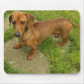 Daschund Mousepad (Vorne)
