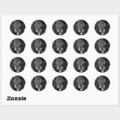 Daschund Puppy Dog Stickers (Blatt)