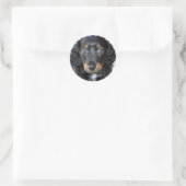 Daschund Puppy Dog Stickers (Tasche)