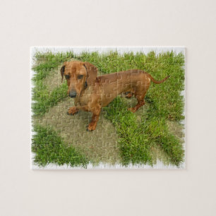 Daschund Puzzlespiel Puzzle