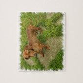 Daschund Puzzlespiel Puzzle (Vertikal)
