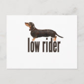 Daschund Sausage Dog Postkarte (Vorderseite)