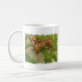 Daschund Tasse (Links)