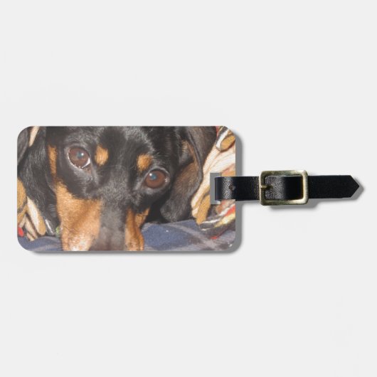 Daschund Weener Hundegesicht Gepäckanhänger (Vorderseite horizontal)