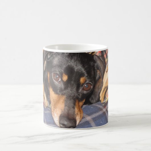 Daschund Weener Hundegesicht Kaffeetasse (Mittel)