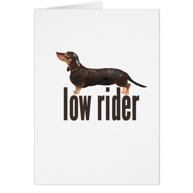 Daschund Wurst-Hund (Vorne)