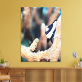 Dascyllus Leinwanddruck (Insitu (Wohnzimmer))