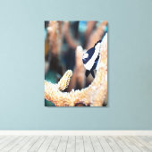 Dascyllus Leinwanddruck (Insitu (Holzboden))