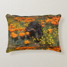 DashshundAccent-Pillow