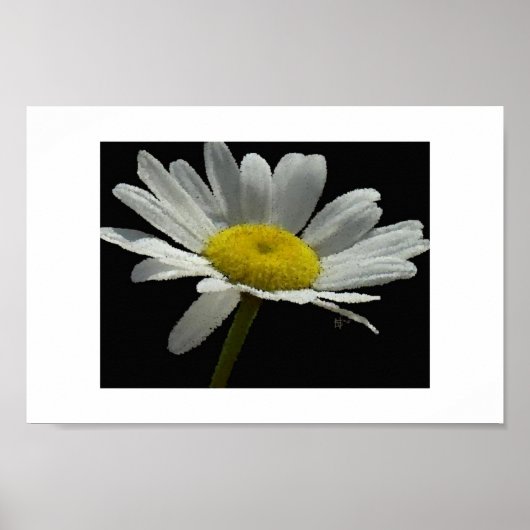 Dasiy Poster (Vorne)