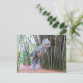 Daspletosaur - Dinosaur - Lernkarte Postkarte (Stehend Vorderseite)