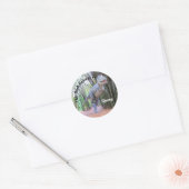 Daspletosaur - Dinosaurier - Buchzeichen Stickers (Umschlag)