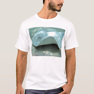 Dasyatis Americana (Albinosüdlicher Stingray) T-Shirt