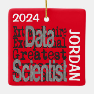 Data Scientist Extraordinaire CUSTOM Keramikornament
