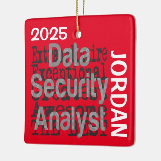 Data Security Analyst Extraordinaire CUSTOM Keramikornament (Links)