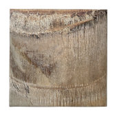 Date Palm Tree Trunk Texture Closeup Foto Image Fliese (Vorderseite)
