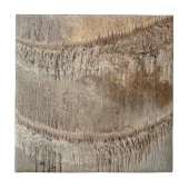 Date Palm Tree Trunk Texture Closeup Foto Image Fliese (Vorderseite)