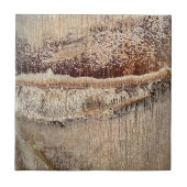 Date Palm Tree Trunk Texture Closeup Foto Image Fliese (Vorderseite)