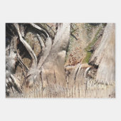Date Palm Tree Trunk Texture Closeup Foto Image Geschenkpapier Set (Vorderseite 3)