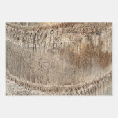 Date Palm Tree Trunk Texture Closeup Foto Image Geschenkpapier Set (Vorderseite)