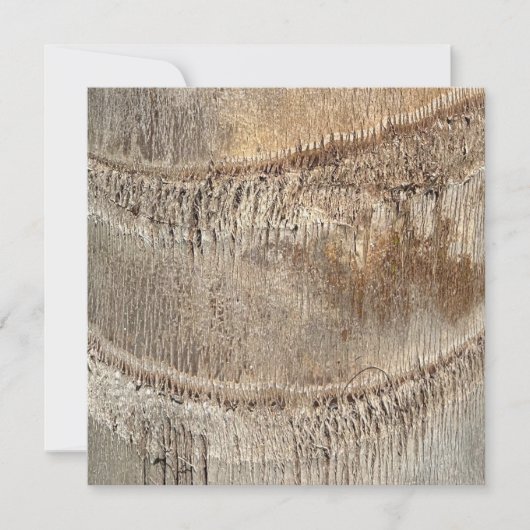 Date Palm Tree Trunk Texture Closeup Foto Image Karte (Vorderseite)