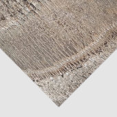 Date Palm Tree Trunk Texture Closeup Foto Image Seidenpapier (Ausschnitt)