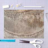 Date Palm Tree Trunk Texture Closeup Foto Image Seidenpapier (Handwerk)
