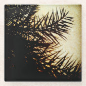 Date Tree Shadows Glasuntersetzer (Vorderseite)
