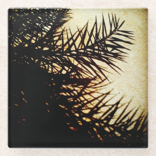 Date Tree Shadows Glasuntersetzer (Vorderseite)